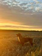 9db0a8c76a93dcb4c213418d91785d12_138x184_fill