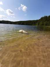 9dcb66a9227c594b83aacde60ba06d4f_172x230