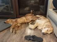 9debc597d0784d8c321d0887c0d48623_184