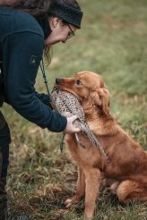 9df574392d3e14fcf9406ac5ee9d25e7_164x246_fill