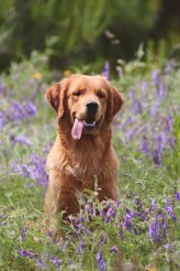 9df6d480acd492f7d3da51452db2d3aa_164x246