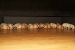 9e17fb868965b60aa5f527f533c4f8e6_246