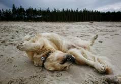 9e56eaefc6057d066a489f7e20f67156_238