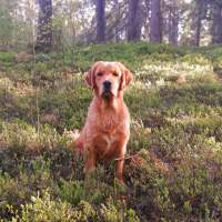 9e5a2d4d3255a62679bd93d20cbc7763_200x200_fill