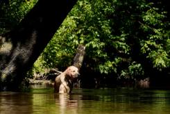 9e9d69fa70b67a84643098d22af9a821_245