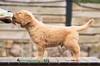 9eb339975b05f3a255e6e77d073ec039_195x130_fill