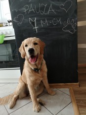 9edf1c6a424cb9f8d6c38050bd4b9228_174x232_fill