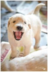 9f773d2093a0dad5f51515ec7f6a9248_164x245