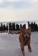 9fb40d98e0945136aa9a3a22b4203382_130x194