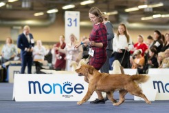 9fc203d6b8ec876d9ff2a9fc66f544d4_246