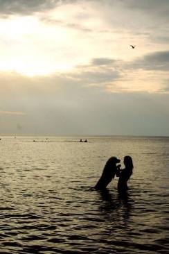 9fd8806405bd9bbf964e484fd6f0dd44_244x366_fill