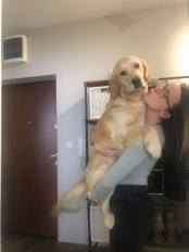 a03a235e52c098b82df0e5337dbff603_174x232_fill