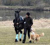 a03daef7c574db72bc991d83e0b06621_168