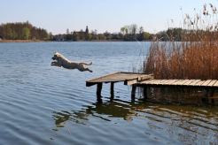 a056a28c90b56b25ff3f964f41e1310f_246