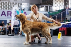 a05f1702dea13c971958f4d52b9347dd_246