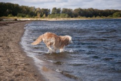 a0e6d1ff366fc74571e77854fca12953_246