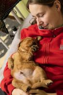 a1098880d8866d65a5a9ed3665514f78_130x195_fill