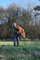 a125799974d36b146d66024f0cd8b707_130x195_fill