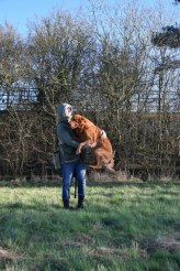 a125799974d36b146d66024f0cd8b707_164x246_fill