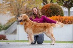 a137062eae705a3dfa7336a8b43441e8_246