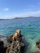 a13cd53cf7484fc2886027ed24c2f21a_138x184_fill