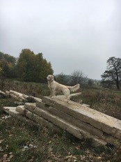 a1630ef8286aa6845c8e4d2498ba2273_174x232_fill