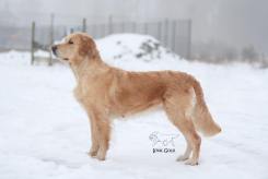 a16476731125c150d9aee6d441fdecea_245