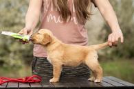 a19187dcbd5965d4256a36bd663d1fb7_195x130_fill