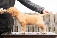 a19901b36093818bfa4bd074ec11eb73_195x130_fill