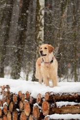 a1fe2e912ffed8c1bd9672a9c757a3ca_164x246