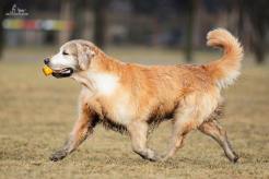 a22754483c68ae21be9b0fa4920cb6fc_246x164_fill