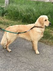 a22b0183469d7b38fe869bdfa29f12b0_174x232_fill