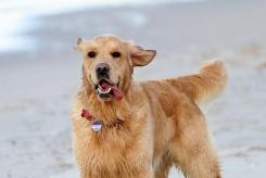 a26b978c92f02217c6bc7eaf24d10227_245