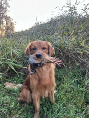 a2b4319ecc4d67d59742183a7ac003aa_174x231