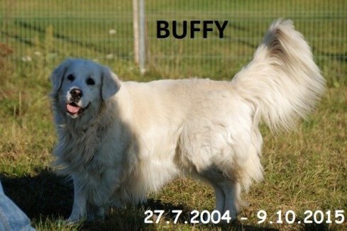 a3119d60a0f31408b9c3732c90c1c186_489x326_fill