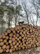 a3fbc9f74dfa7db47755eab48dbd73b5_138x184_fill