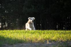 a43e7528a3d27c5865f9b23255b6a33c_246x164_fill