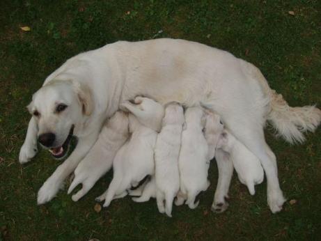 a442238af94174fbf04a3f584ed2445d_461