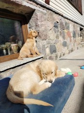 a4463778bdf80f1d46f31f0ed183f566_174x232_fill