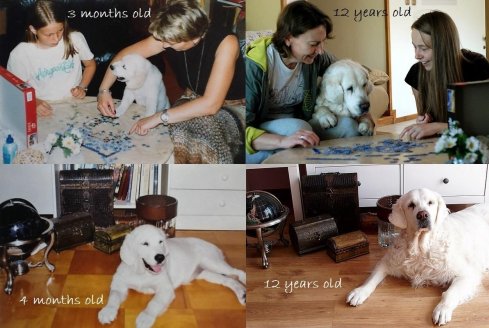 a4490d6c65dfecc600d998c3a78bc460_489