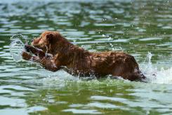 a4b557bf307e6f02a7f44bf00b8ebefe_245