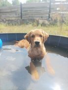 a4e06029299491d136bc75068ff052d1_138x184