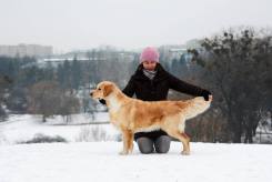 a515bddd42c10fe265e60982a45db15e_245