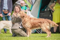 a534edf2a8eca5dc790a3a1498bd56e0_246