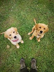 a55d87c02408492d40151212108dd8ef_174x232_fill