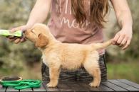 a58636727164bbe72d7e1078c96f541a_195x130_fill