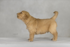 a5927875513a00fb43c2f7fa631b241e_246