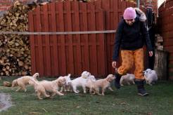 a59b21a0ca93bec39a839d8d8344e576_246x164_fill