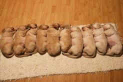 a5bfc84c5c4d4f8e9f4a39793045be3f_246