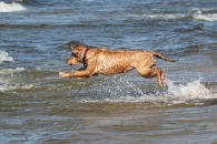 a5e4787487ec5d6aeeba8927250f2fc4_195